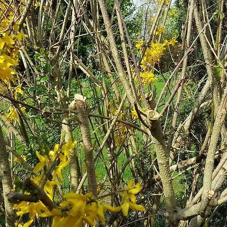 Machedanz Zentrumsnah & Ruhig Timmendorfer Appartamento *