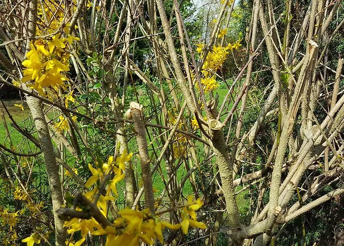 Machedanz Zentrumsnah & Ruhig Timmendorfer Apartment *